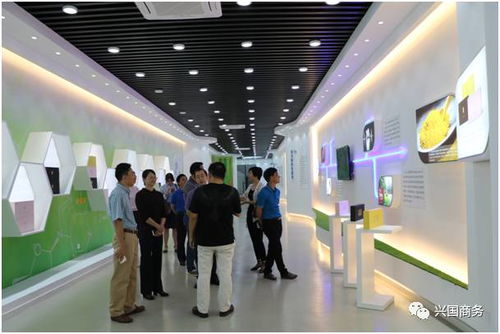 興國今天發生的事......9.30