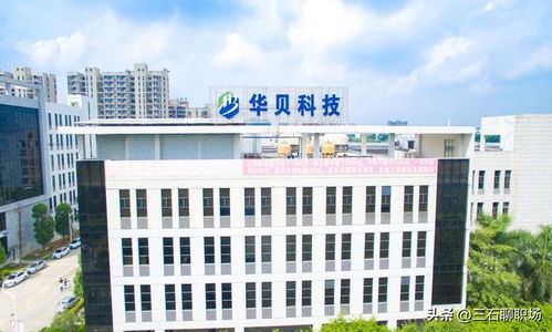 東莞 最好的13家企業(yè) ,待遇感人,有望追趕廣州和深圳 廣東 東莞市 深圳市 廣州市 科技 網易訂閱