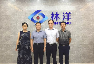 打造更加智慧高效的能源服務,安徽林洋新能源科技成立智慧能源事業(yè)部